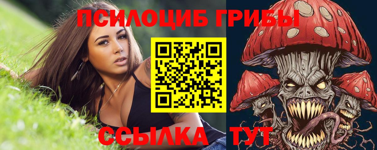 как найти закладки  Вход с VPN  Абинск  Псилоцибиновые грибы Psilocybe  Псилоцибиновые грибы Magic Shrooms 